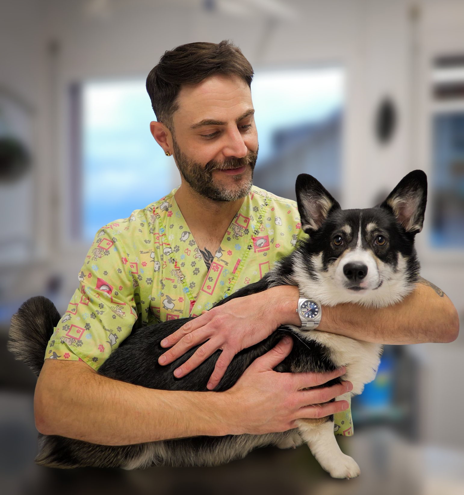 Dr Romain Abos Dr Romain Abos, vétérinire de Vetmint St-Légier